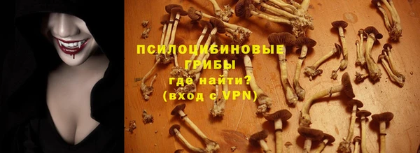 метамфетамин Алексеевка